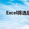 Excel筛选后如何有效进行复制粘贴操作