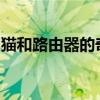 猫和路由器的奇妙世界：探索猫与网络的交织