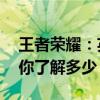 王者荣耀：英雄魅力比拼，男英雄的‘丁丁’你了解多少？