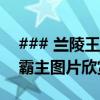 ### 兰陵王的荣耀风采：王者荣耀中的刺客霸主图片欣赏