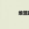 维盟路由器账号密码全攻略