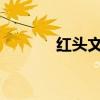 红头文件字体拉长的操作指南