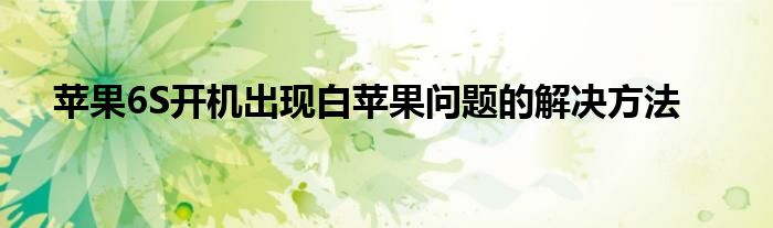 苹果6splus开机一直是白苹果（苹果6splus开机白苹果）