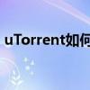 uTorrent如何设置中文界面？——详细教程