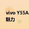 vivo Y55A手机评测：探索全新体验的独特魅力