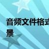 音频文件格式详解：各种格式的特点与适用场景