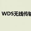 WDS无线传输技术：无线网络的桥梁与纽带