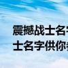 震撼战士名字大解析：30个炫酷、独特的战士名字供你参考！