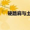 硬路肩与土路肩：差异解析及特点介绍