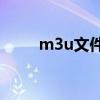 m3u文件格式详解与应用场景探讨