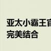 亚太小霸王官方揭秘：前沿科技与独特文化的完美结合