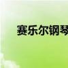 赛乐尔钢琴：传承工艺，演绎音乐之美