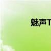 魅声T600声卡驱动安装指南