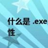 什么是 .exe 文件？详解其定义、功能及重要性