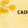 CAD引线标注的快捷键指南