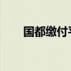 国都缴付平台的使用指南与操作教程