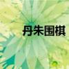 丹朱围棋：探索围棋艺术的魅力之旅