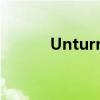 Unturned单人模式指令全解析