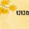 钉钉办公软件电脑版使用指南