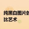 纯黑白图片的魔力：探索经典与现代的极致对比艺术