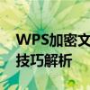 WPS加密文档忘记密码怎么办？解密方法与技巧解析