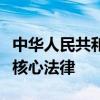中华人民共和国知识产权法：保护创新成果的核心法律