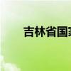 吉林省国家税务局发票查询系统指南