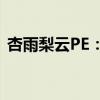 杏雨梨云PE：探索未来数字世界的领先工具