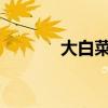大白菜一键重装系统教程详解
