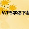 WPS字体下载官网大全：字体资源一键获取