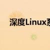 深度Linux系统：探索其优势与应用场景