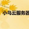 小鸟云服务器：高性能云计算服务的领航者
