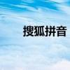 搜狐拼音：探索中文输入的便捷之道