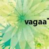 vagaa下载器映射端口设置详解