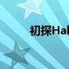 初探Hallo：一个全新的问候方式