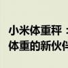 小米体重秤：全方位精准测量，智能管理健康体重的新伙伴
