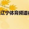 辽宁体育频道在线：最新赛事报道与独家分析