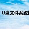 U盘文件系统比较：哪个文件系统更适合你？