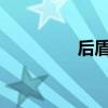 后盾人：默默守护的力量
