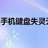 手机键盘失灵无法弹出：问题解析与解决方案