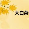 大白菜一键安装Win7系统教程