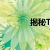 揭秘T420：功能与性能详解