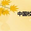 中国校园网的发展与未来展望