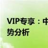 VIP专享：中国网络经纪人的重要性与未来趋势分析