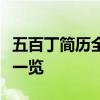 五百丁简历全解析：职业成长路径与个人成就一览