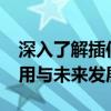 深入了解插件Shockwave Flash：历史、应用与未来发展