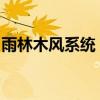 雨林木风系统：绿色安全的电脑操作系统之选