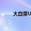 大白菜U盘启动制作工具使用教程