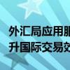 外汇局应用服务平台：优化跨境支付流程，提升国际交易效率