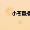 小苍直播间：游戏圈中的热门焦点